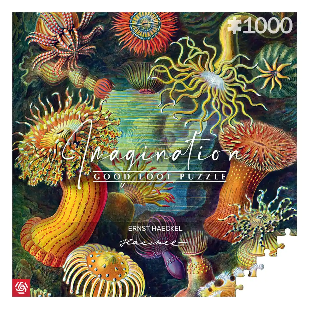 Ernst Haeckel Imagination Puzzle Sea Anemones/Stworzenia morskie (1000 kusov) termékfotó