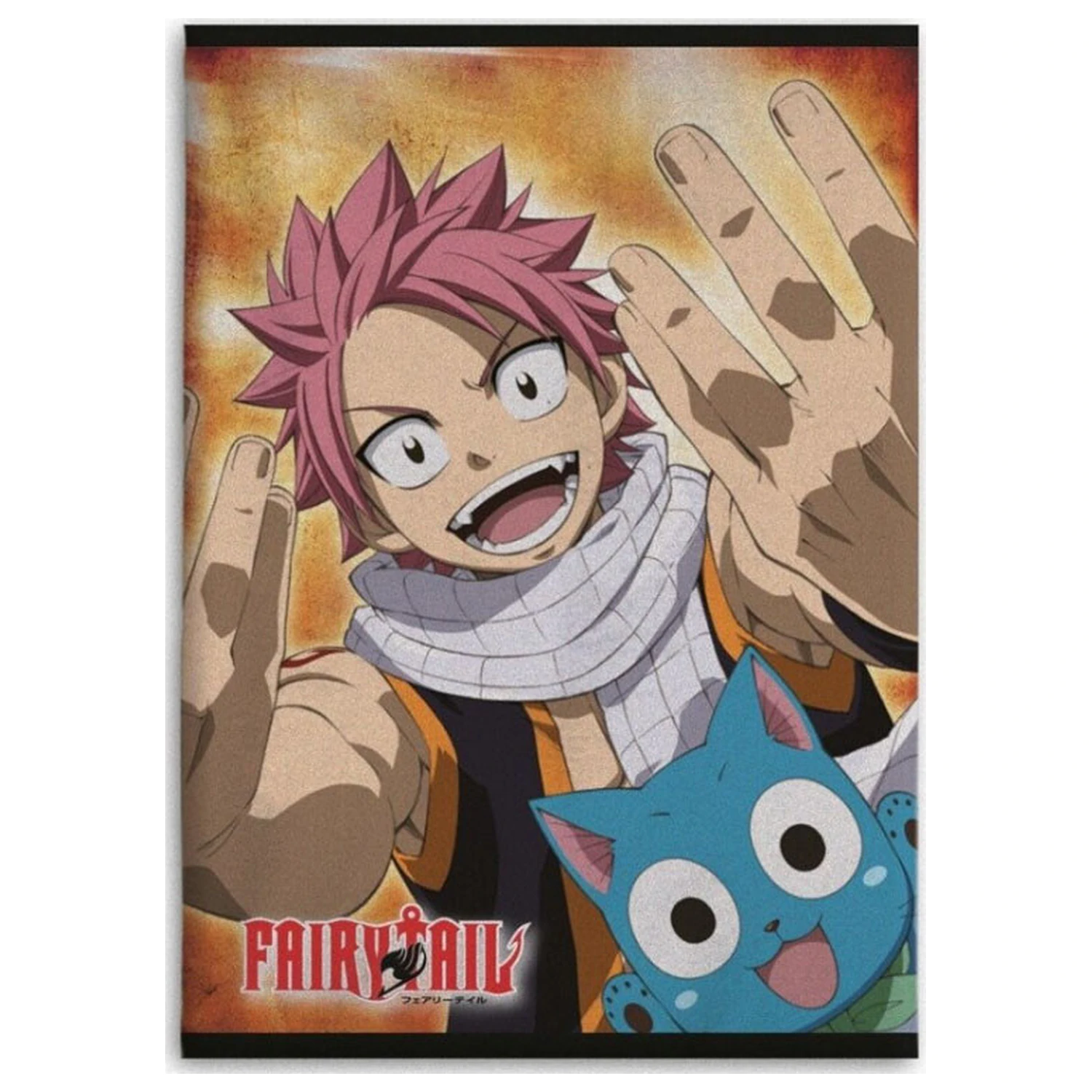 Fairy Tail Happy flísová prikrývka 100x140cm produktová fotografia