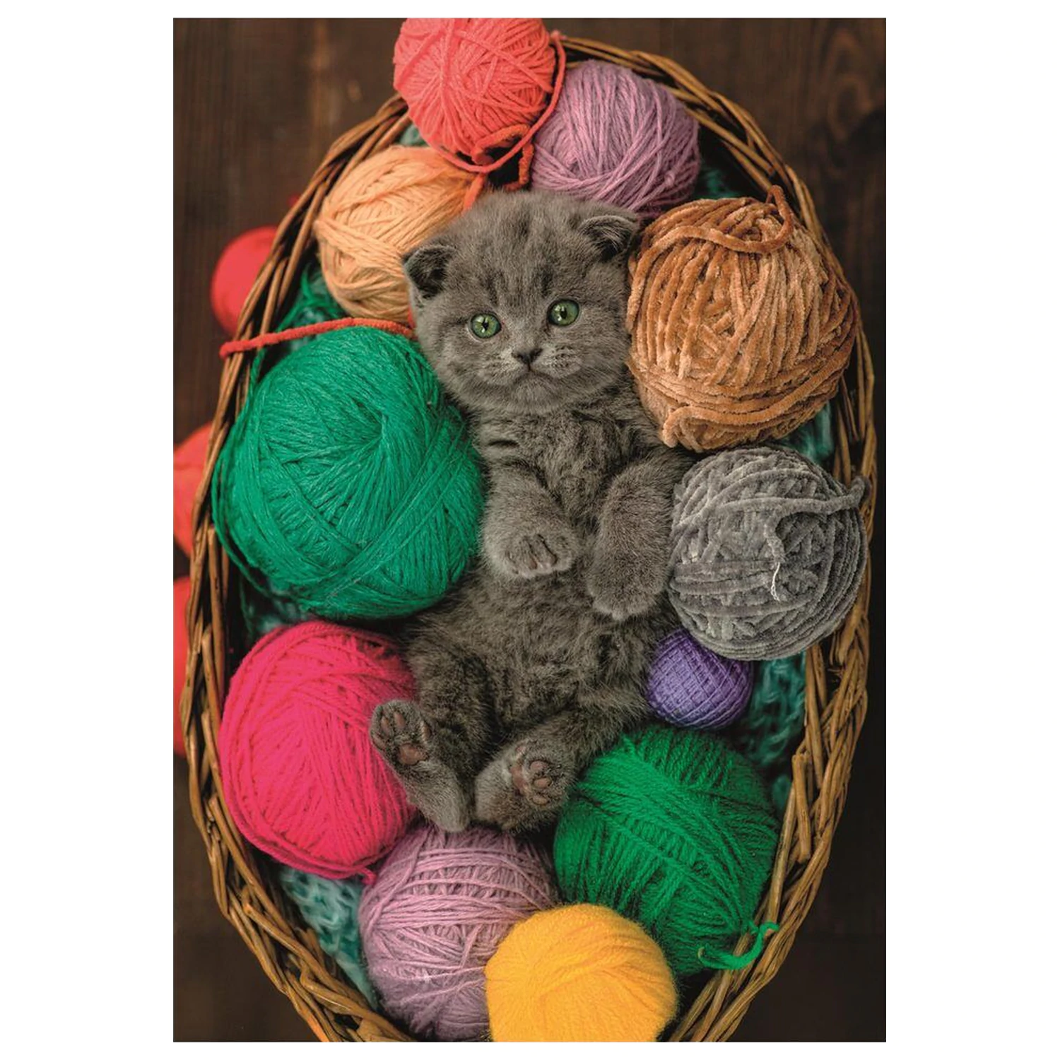 Fluffy Kitten puzzle 500 kusov produktová fotografia