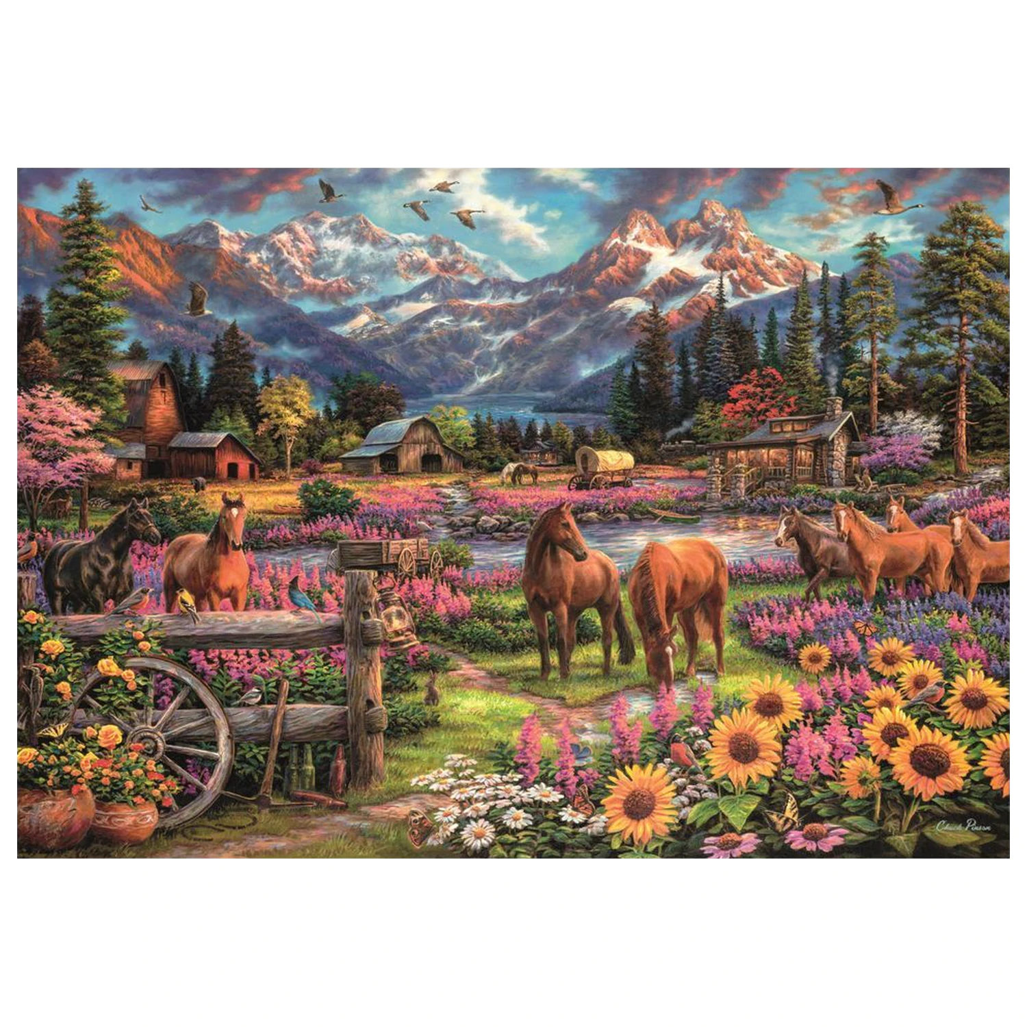 Free To Roam puzzle 3000 kusov produktová fotografia