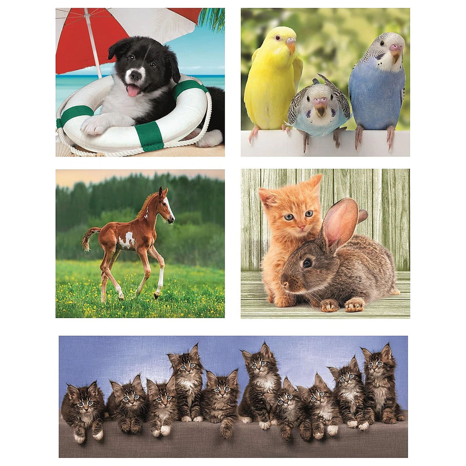 Friends 10-v-1 Puzzle Clementoni produktová fotografia