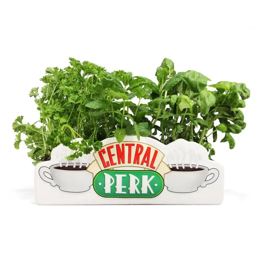 Friends stolová váza Central Perk produktová fotografia