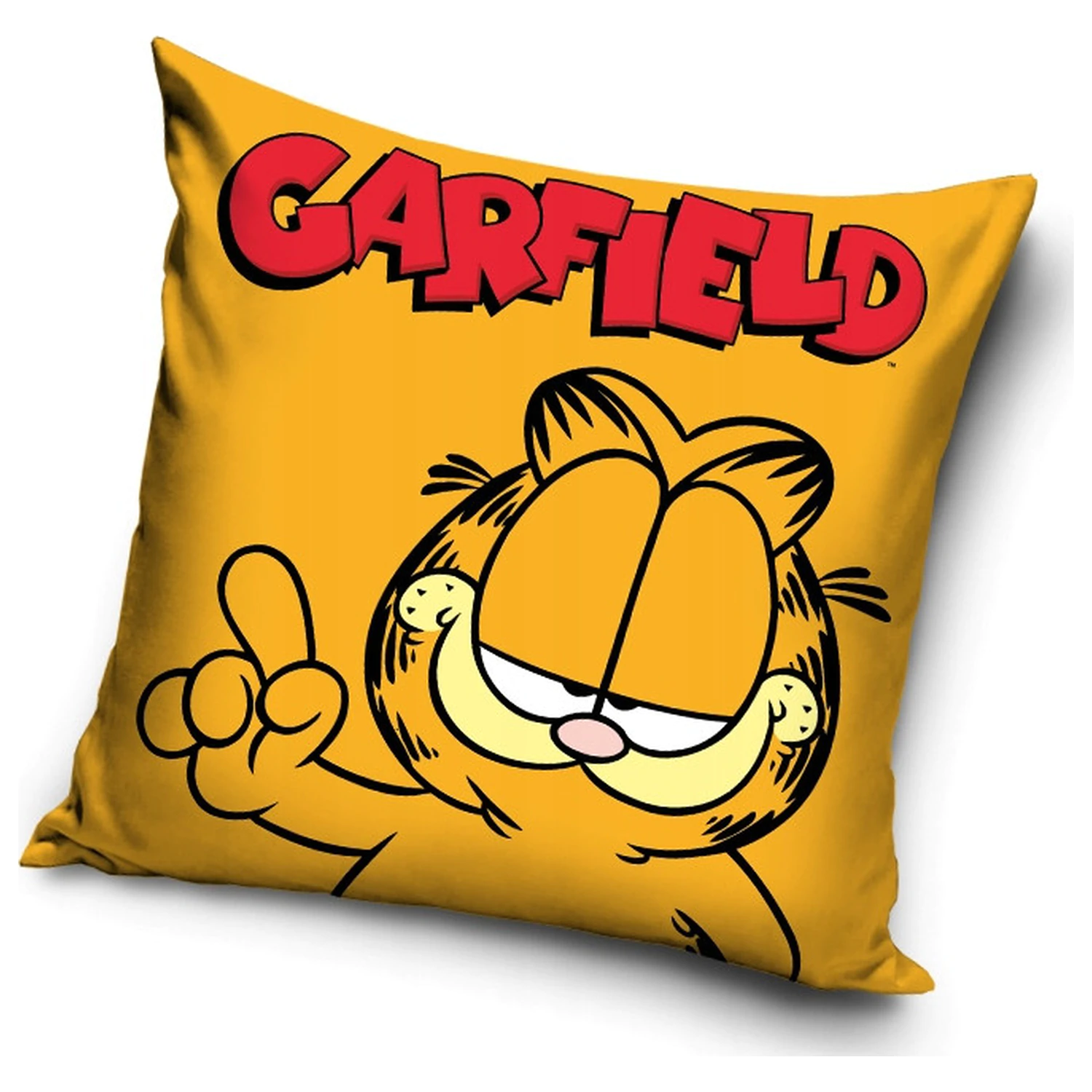 Garfield den obliečka na vankúš produktová fotografia