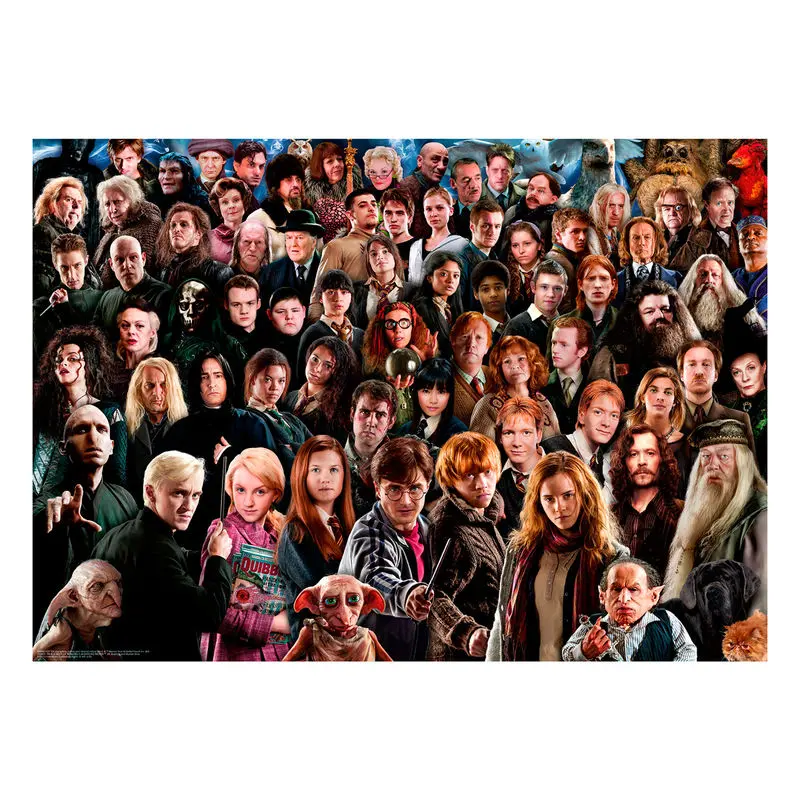 Harry Potter Challenge Skladačka Cast (1000 dielikov) produktová fotografia