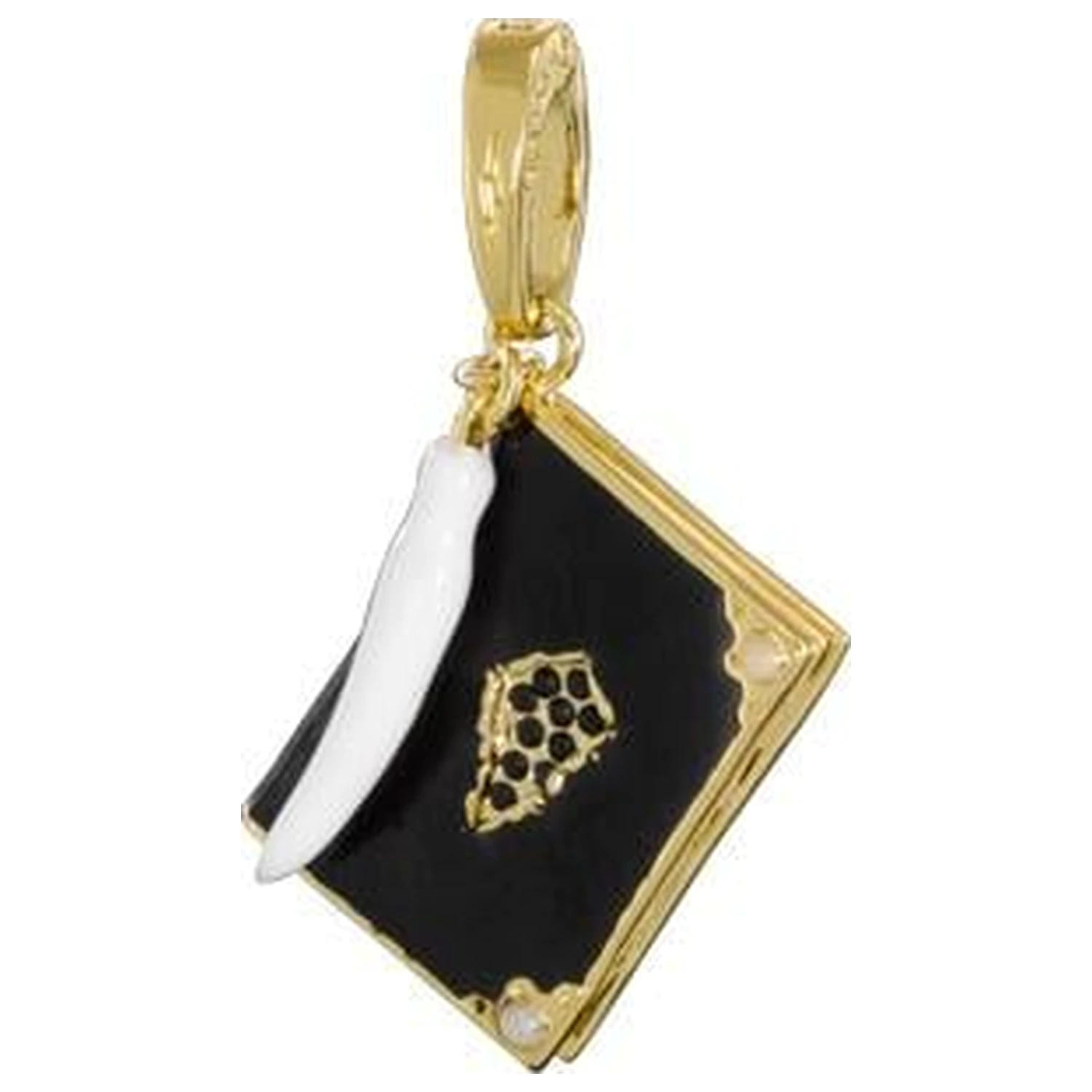 Harry Potter Charm Lumos 11 Tom Riddle's Diary produktová fotografia