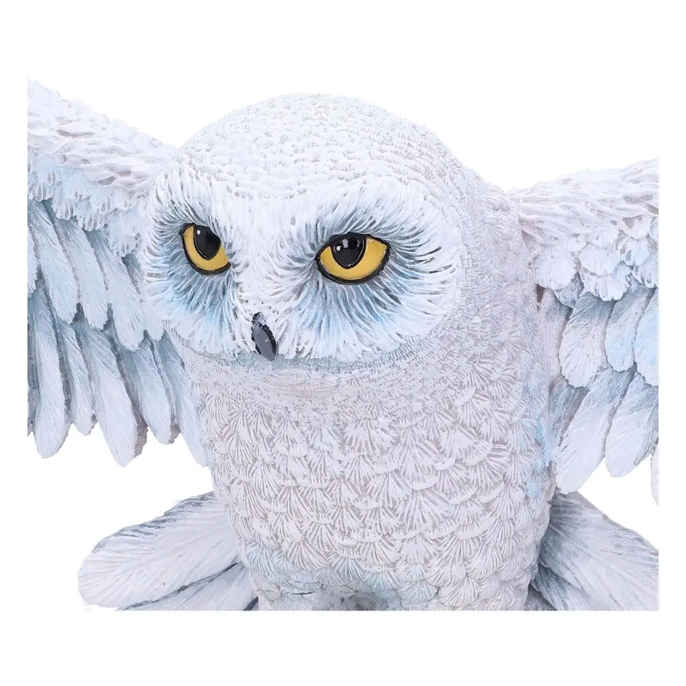 Harry Potter Nástenná plaketa Hedwig 45 cm produktová fotografia