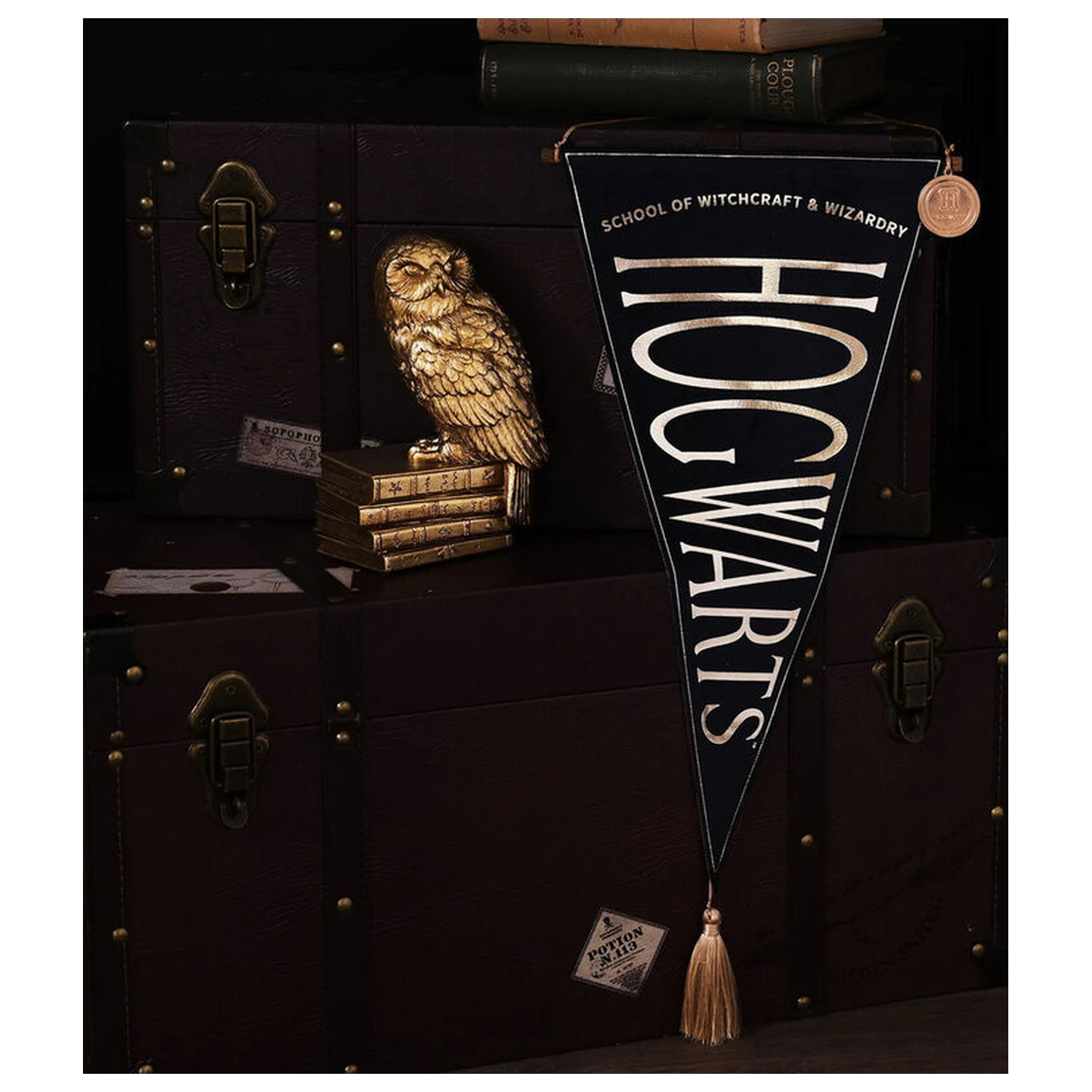 Harry Potter Hogwarts závesná zástava produktová fotografia