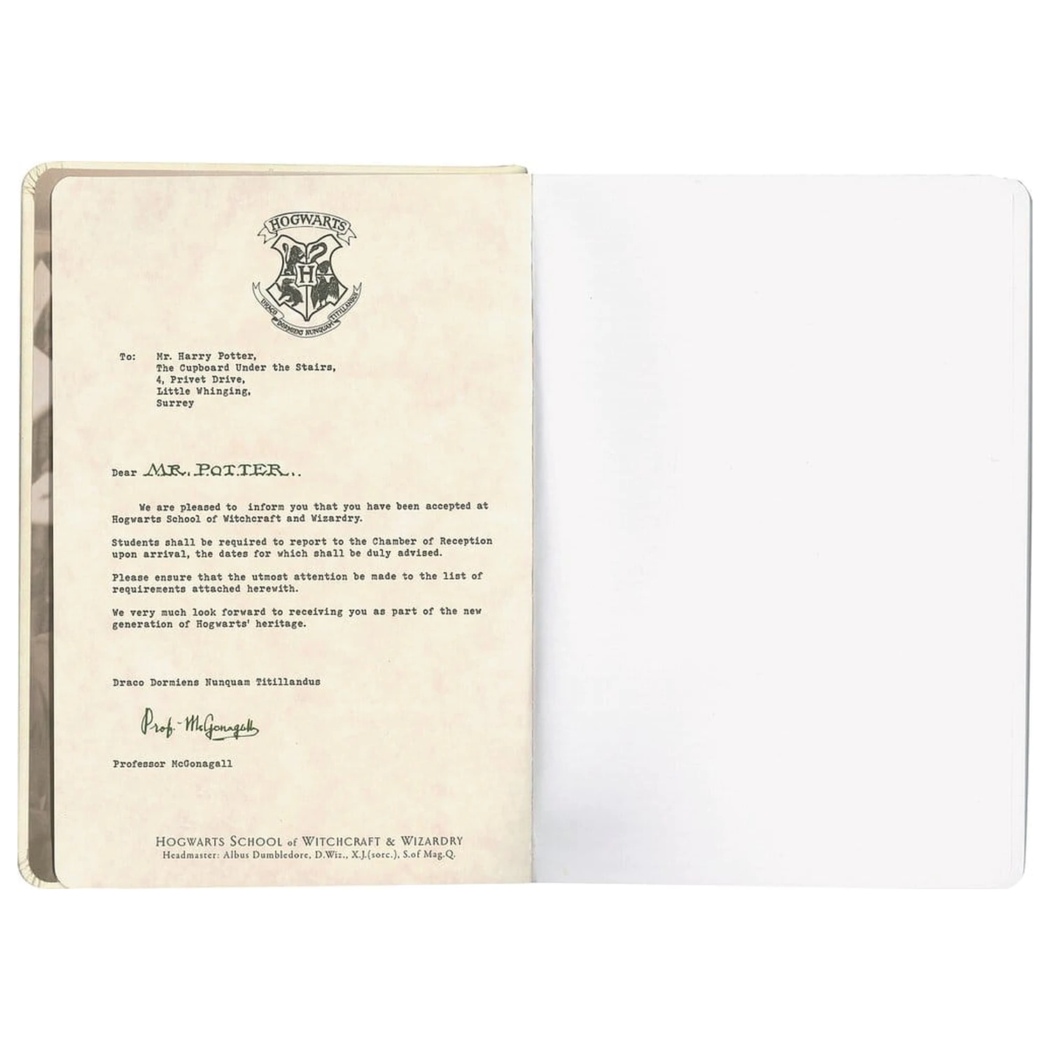 Harry Potter tvrdý zápisník Hogwarts Letter 21 cm produktová fotografia