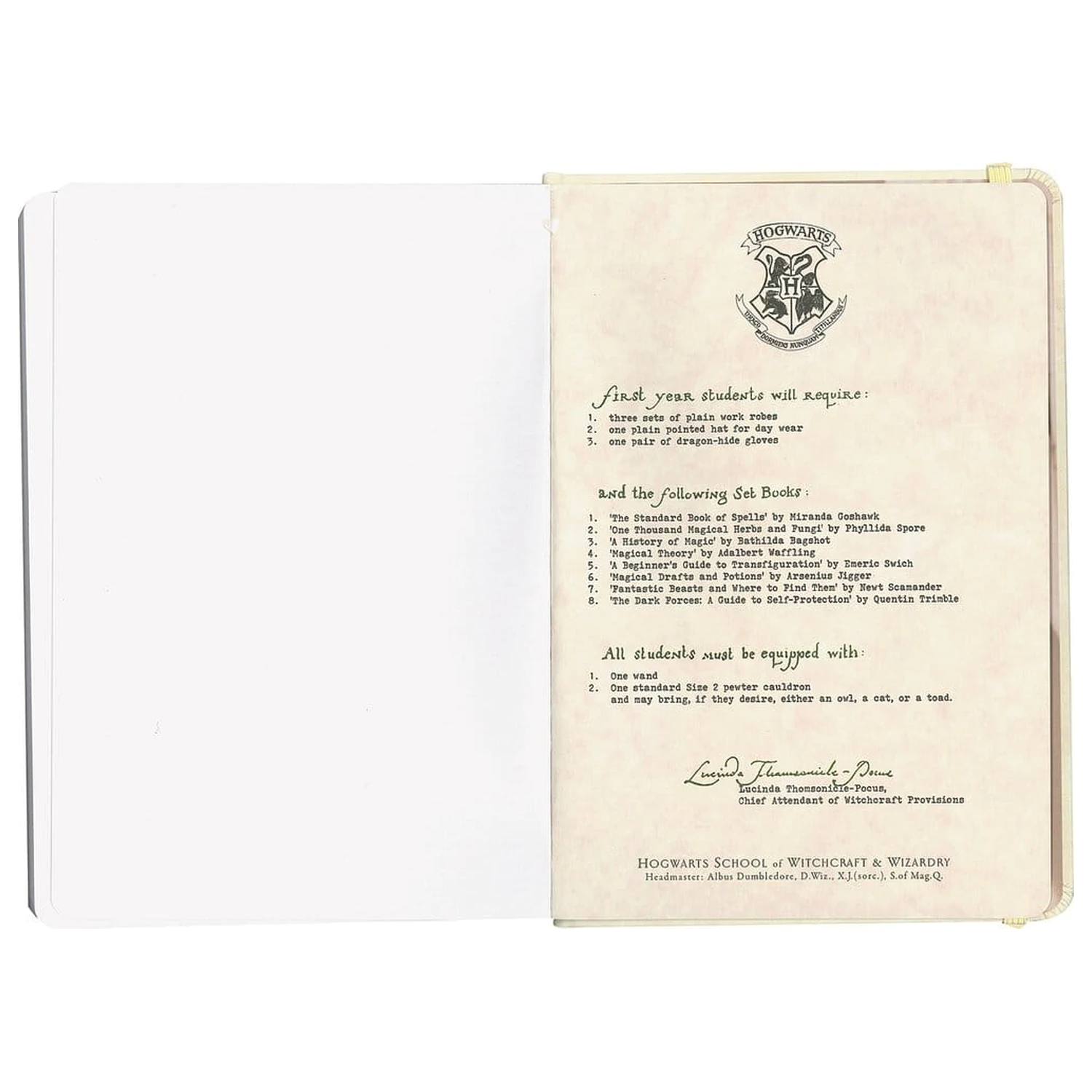 Harry Potter tvrdý zápisník Hogwarts Letter 21 cm produktová fotografia