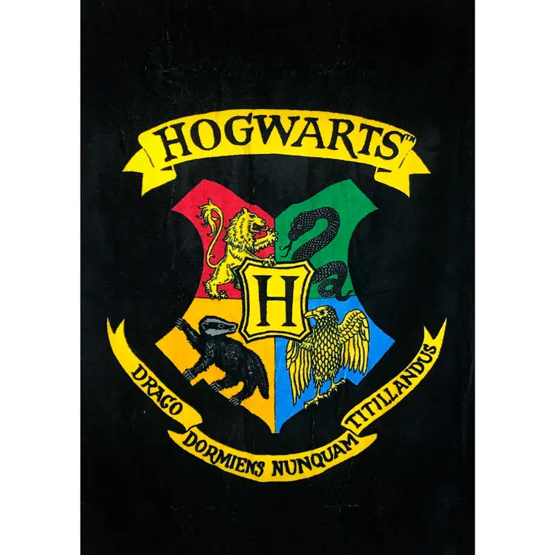 Harry Potter Ručník Hogwarts 150 x 75 cm termékfotó