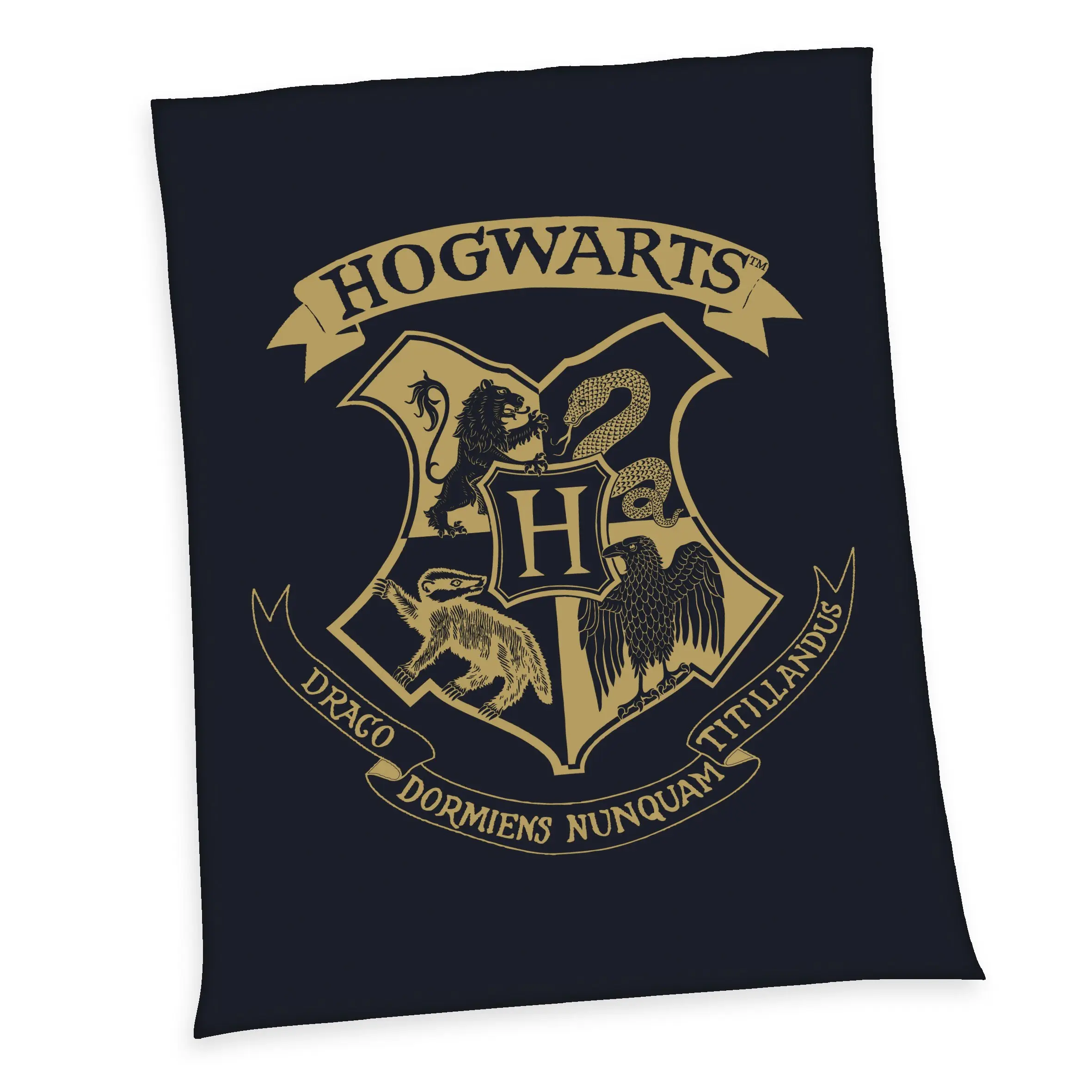 Harry Potter Fleece deka Hogwarts 150 x 200 cm termékfotó