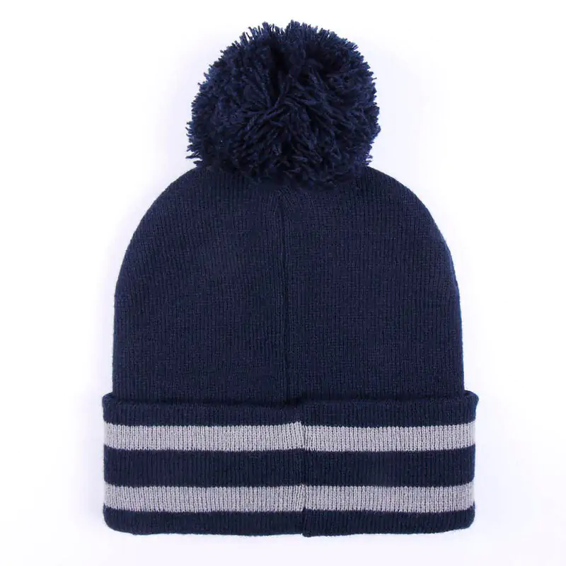 Harry Potter Ravenclaw čiapka a šál set produktová fotografia