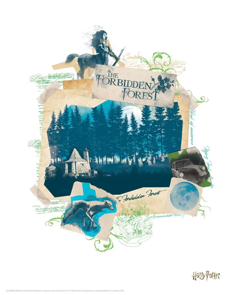 Harry Potter sada 10 litografií 36 x 28 cm produktová fotografia