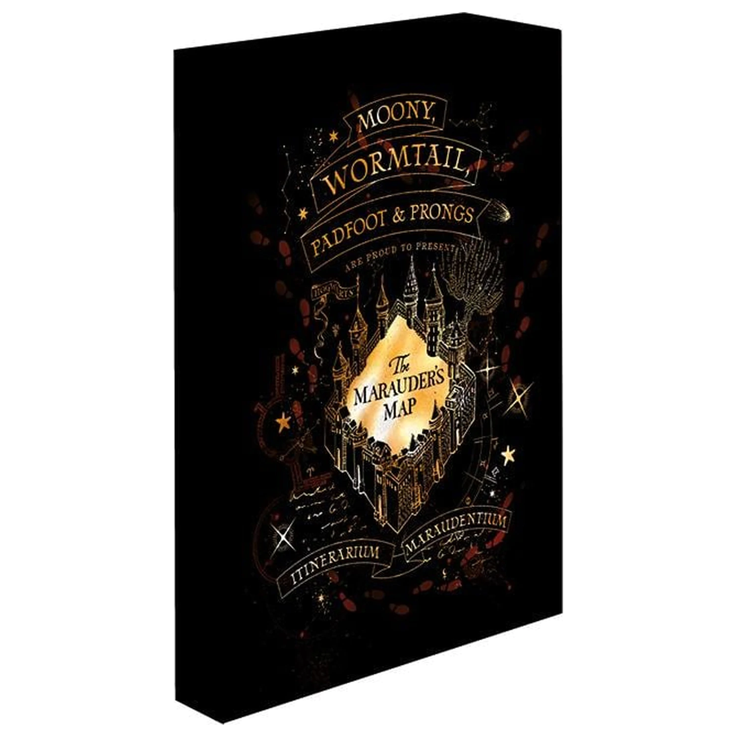 Harry Potter Marauders Map Light plátno 40X30 cm produktová fotografia