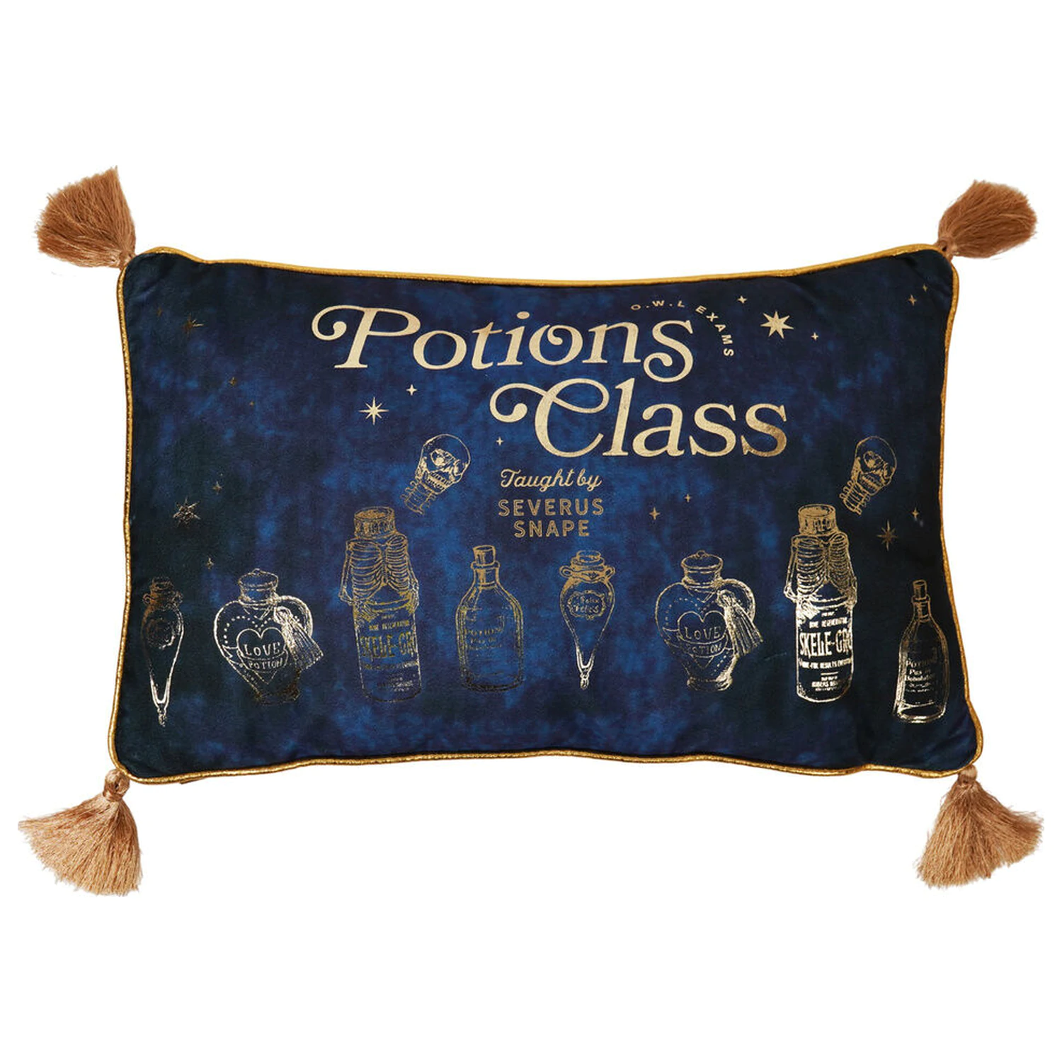 Harry Potter Potions Class zamatový vankúš produktová fotografia