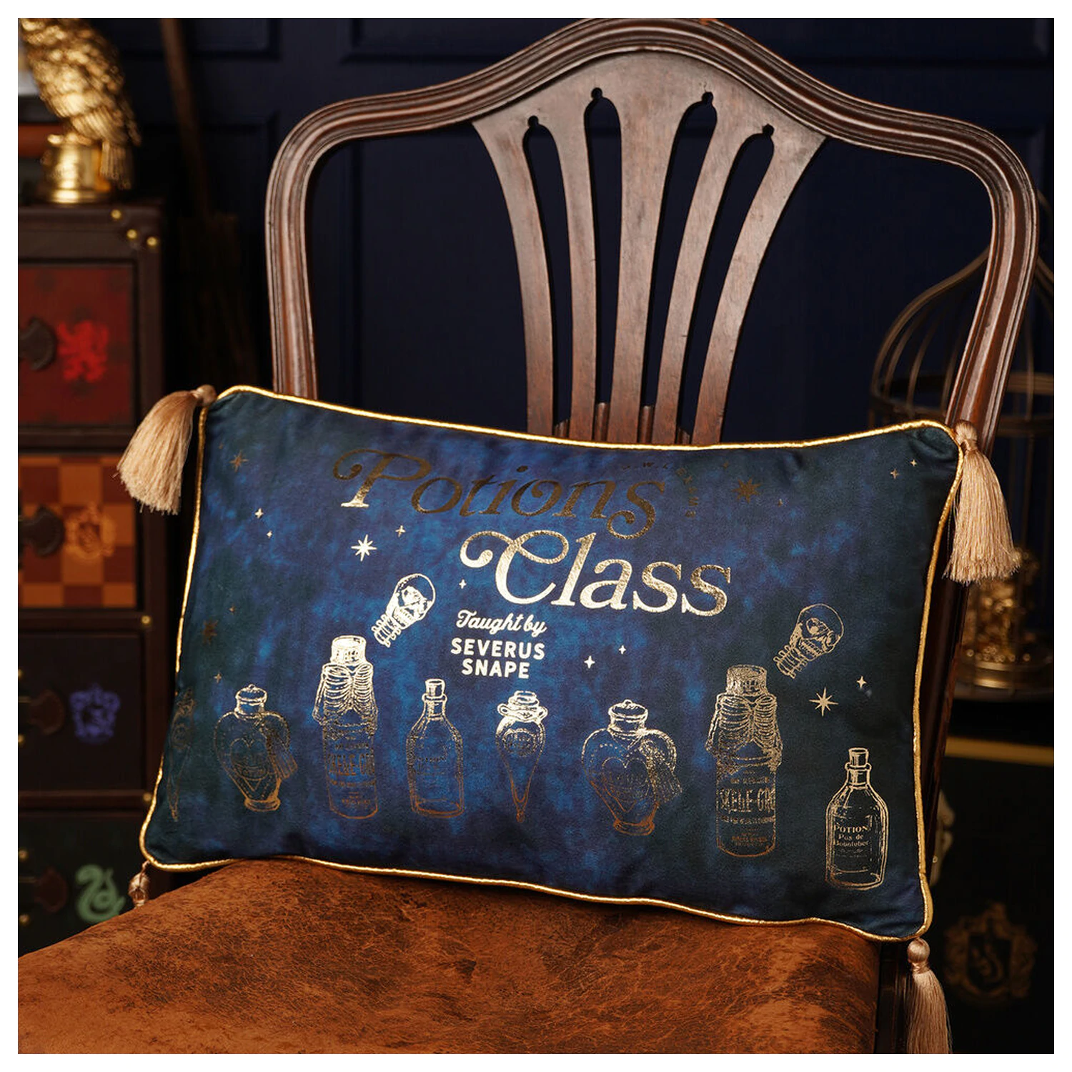 Harry Potter Potions Class zamatový vankúš produktová fotografia