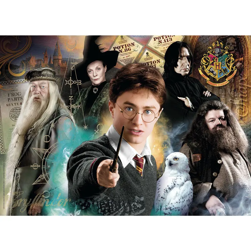 Puzle Harry Potter - Harry v Rokforte (500 kusov) termékfotó