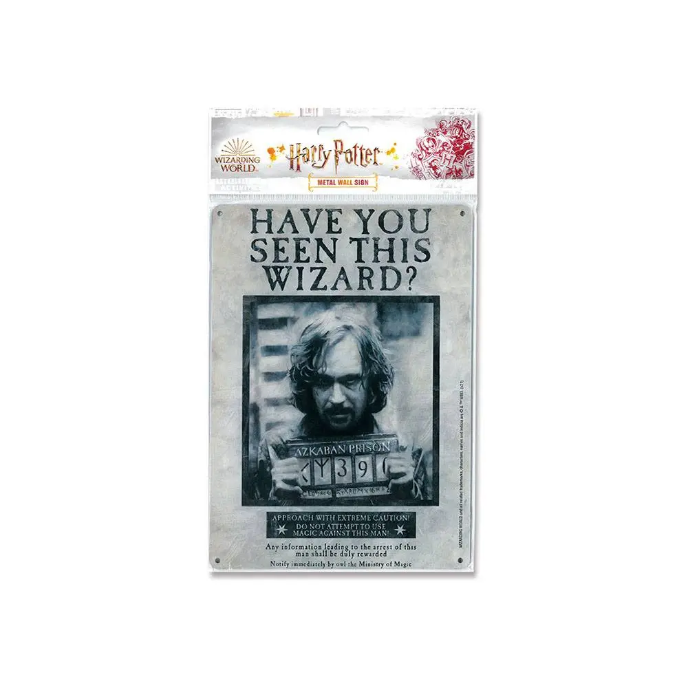 Harry Potter Tin Sign Have You Seen This Wizard 15 x 21 cm termékfotó