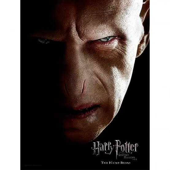 Harry Potter Voldemort Face sklenený plagát produktová fotografia