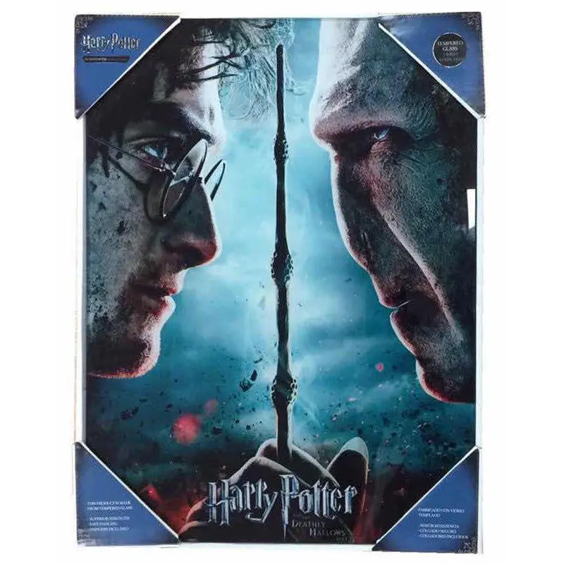 Harry Potter vs Voldemort sklenený poster produktová fotografia