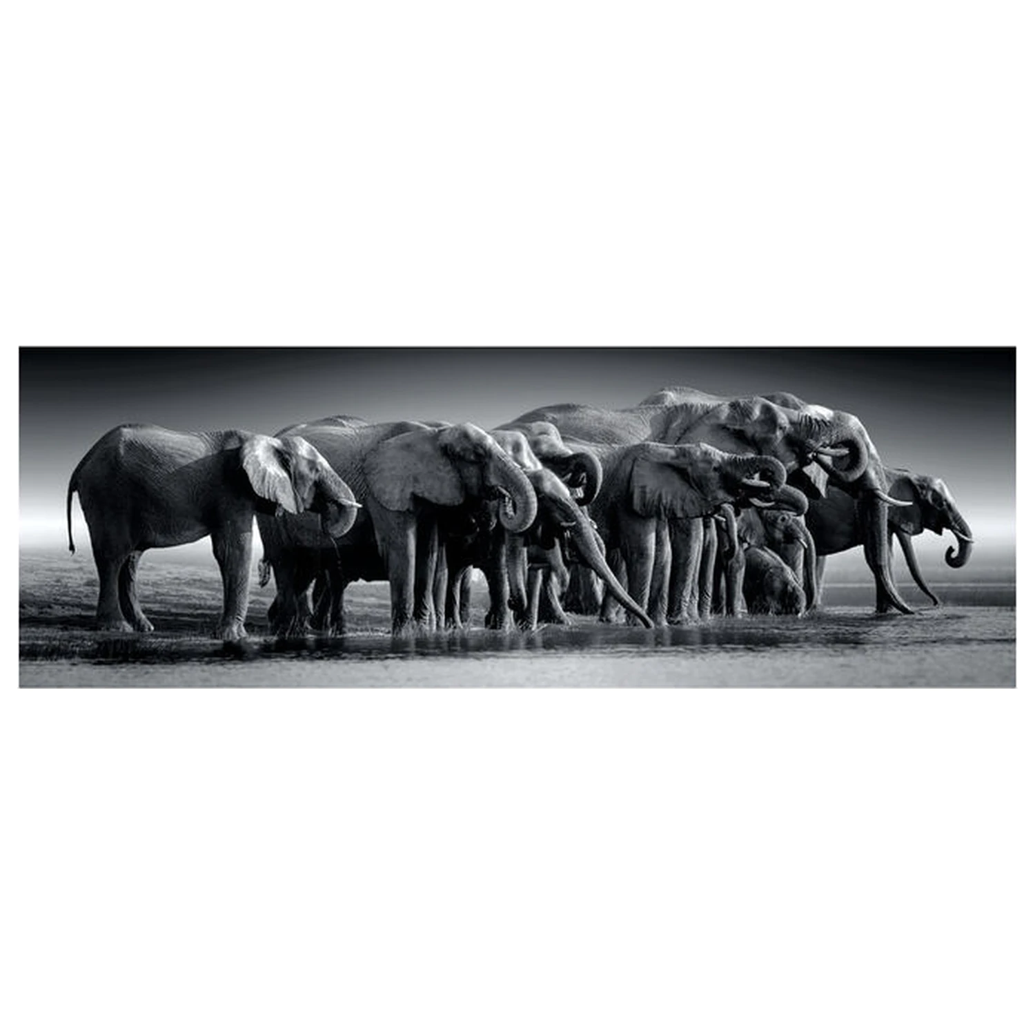 Herd of Giants Panoramatické puzzle 1000 ks produktová fotografia