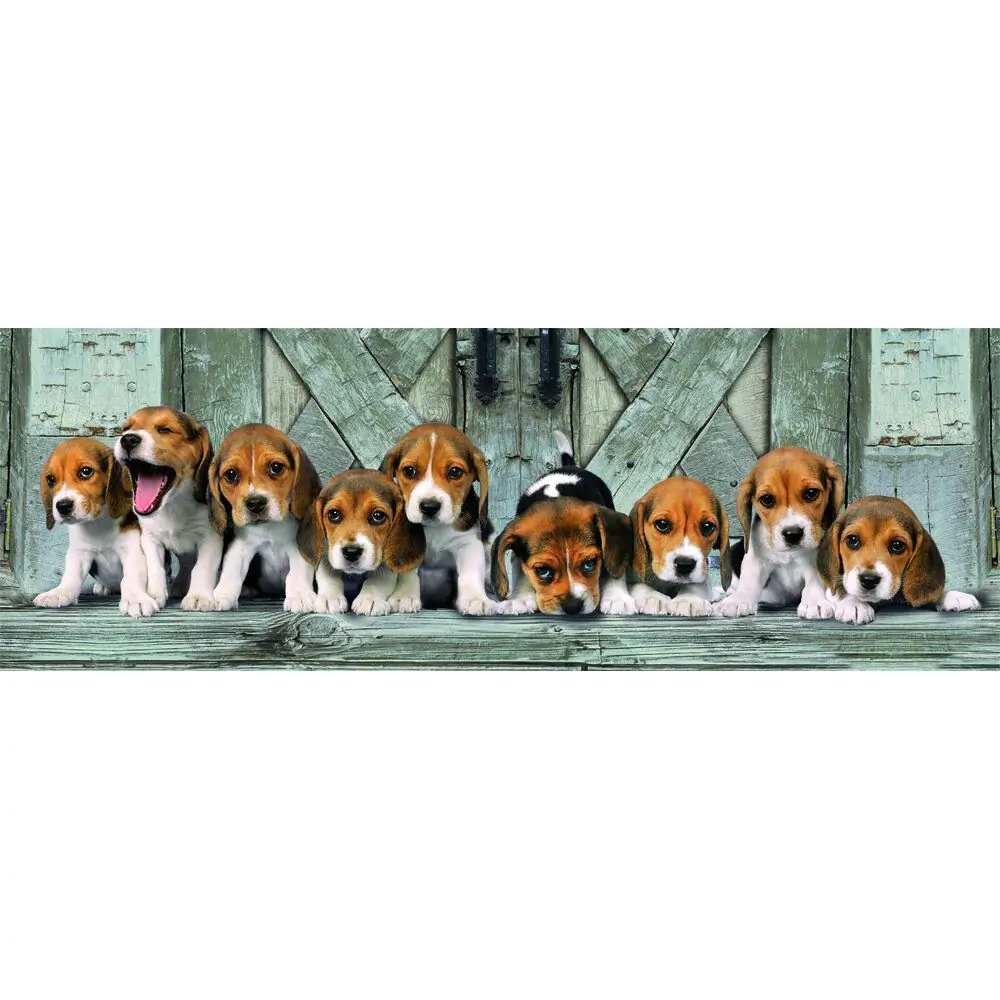 High Quality Beagles panoramatické puzzle 1000ks produktová fotografia