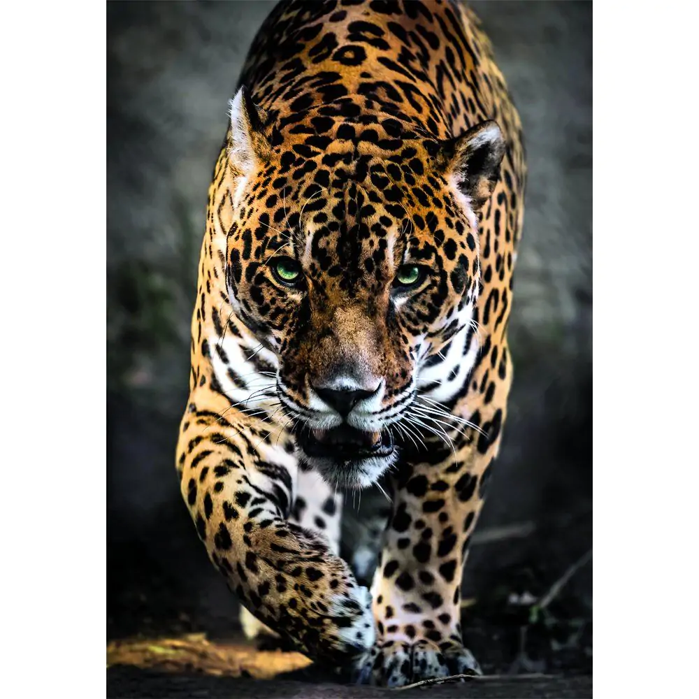 High Quality Walk of the Jaguar puzzle 1000ks produktová fotografia