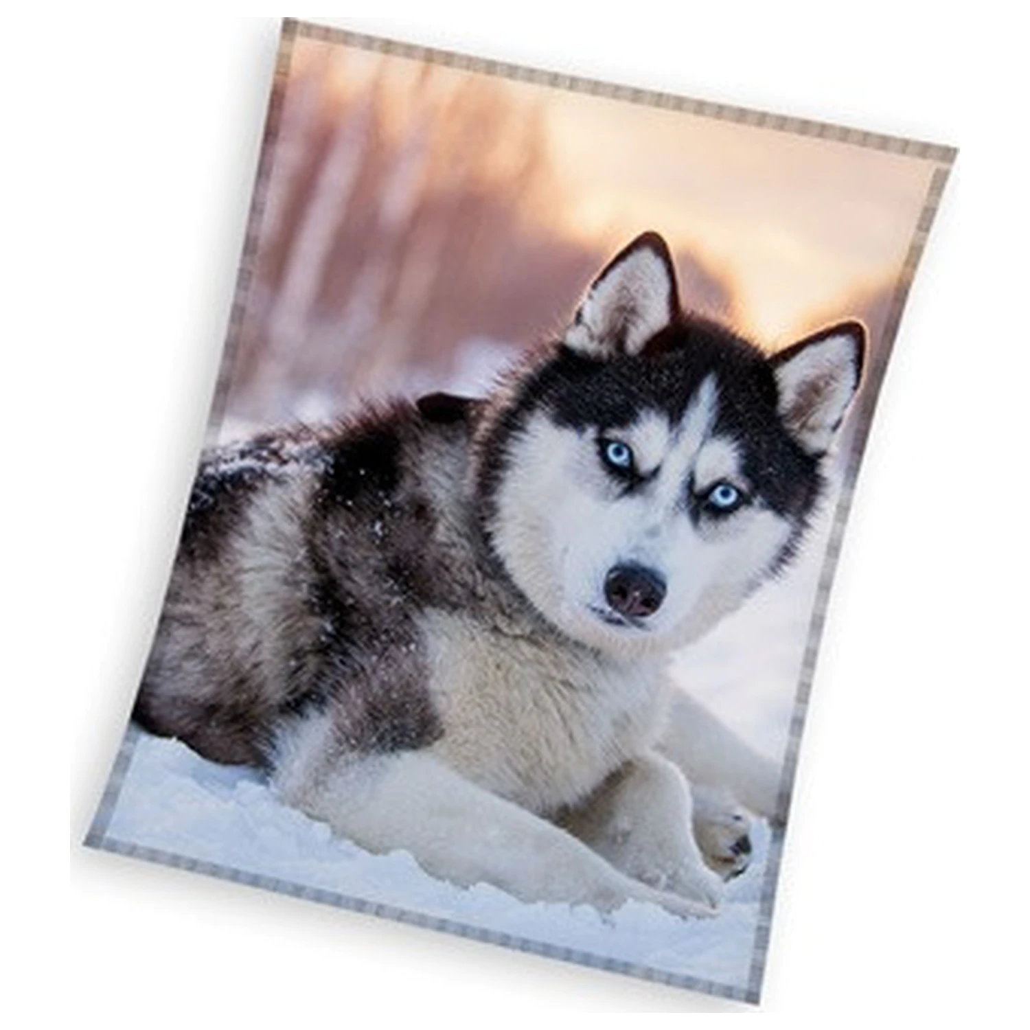 Husky fleecová deka produktová fotografia