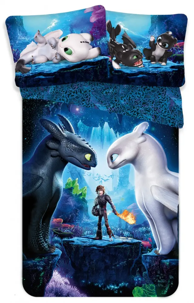 How to Train Your Dragon obliečka na paplón 140x200cm, 70x90cm produktová fotografia