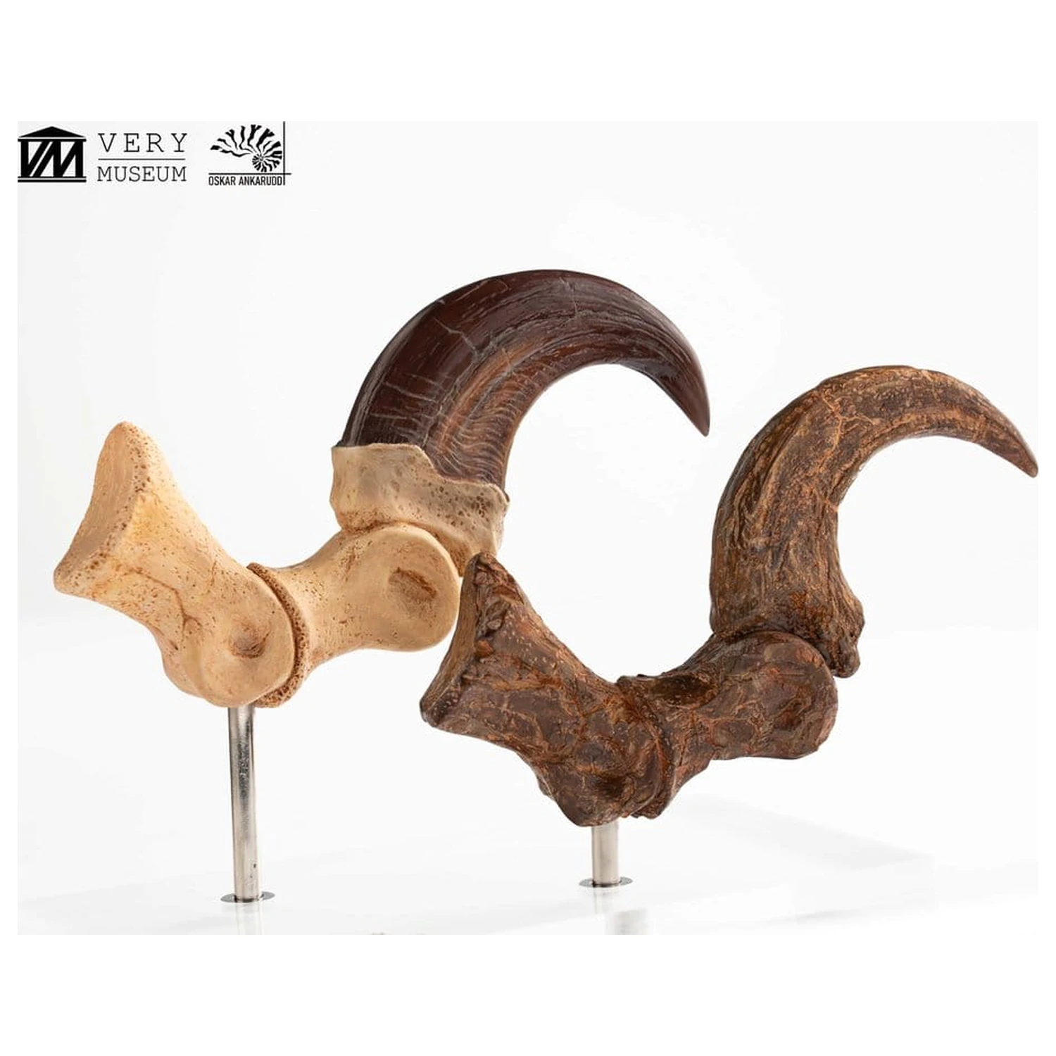 Jurassic Park ECC Elite Creature Line socha Velociraptor noha pazúr a fosílny pazúr set 20 cm produktová fotografia