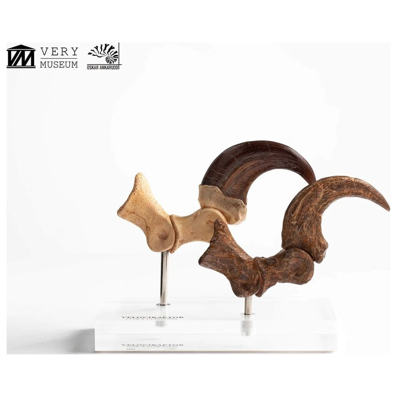 Jurassic Park ECC Elite Creature Line socha Velociraptor noha pazúr a fosílny pazúr set 20 cm produktová fotografia