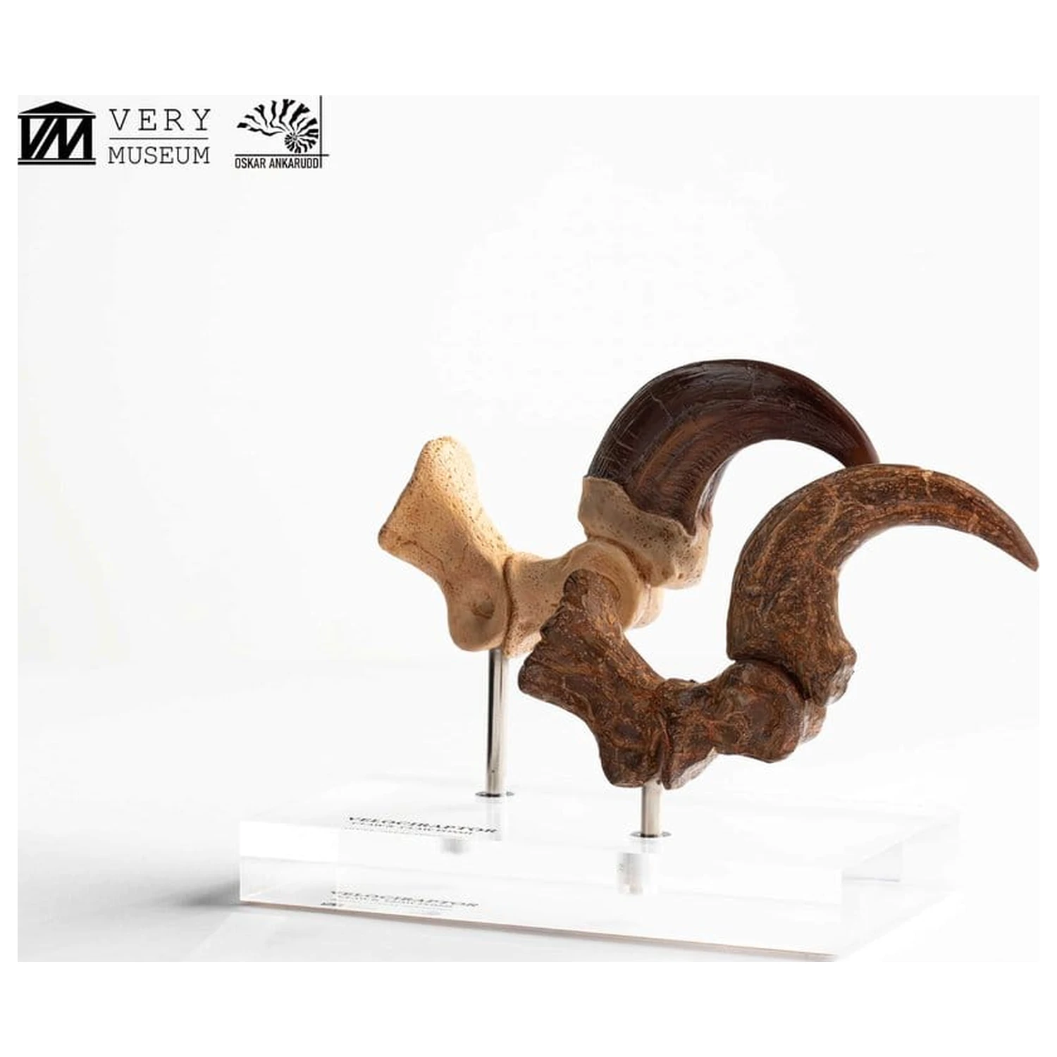 Jurassic Park ECC Elite Creature Line socha Velociraptor noha pazúr a fosílny pazúr set 20 cm produktová fotografia