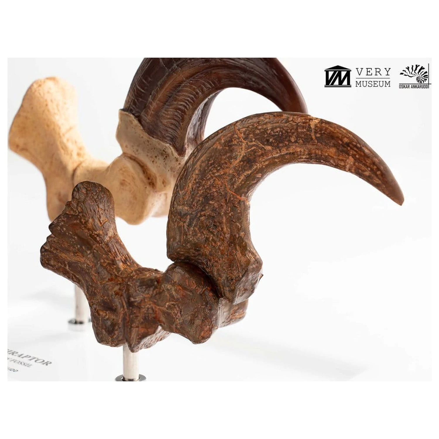 Jurassic Park ECC Elite Creature Line socha Velociraptor noha pazúr a fosílny pazúr set 20 cm produktová fotografia