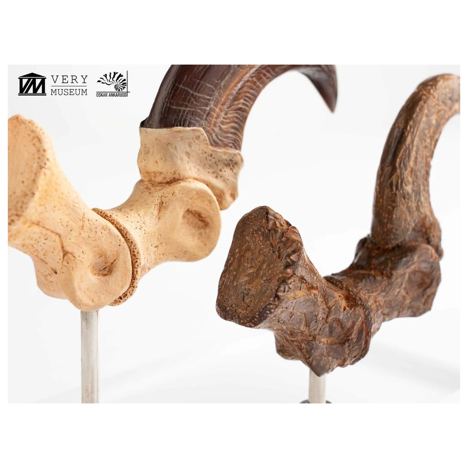 Jurassic Park ECC Elite Creature Line socha Velociraptor noha pazúr a fosílny pazúr set 20 cm produktová fotografia