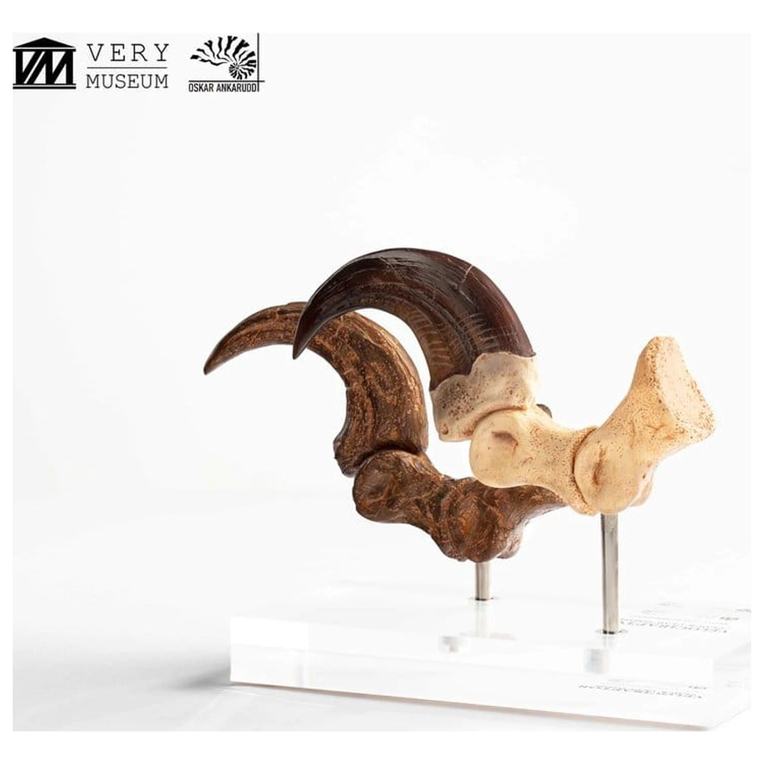 Jurassic Park ECC Elite Creature Line socha Velociraptor noha pazúr a fosílny pazúr set 20 cm produktová fotografia