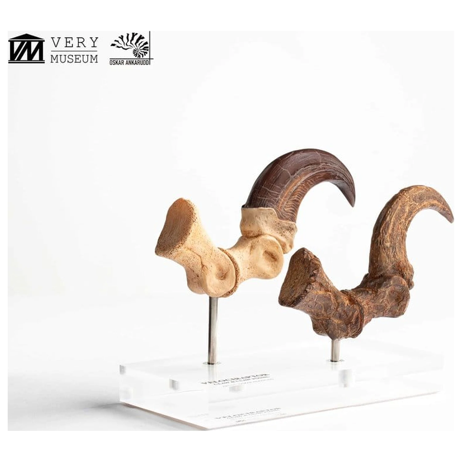 Jurassic Park ECC Elite Creature Line socha Velociraptor noha pazúr a fosílny pazúr set 20 cm produktová fotografia