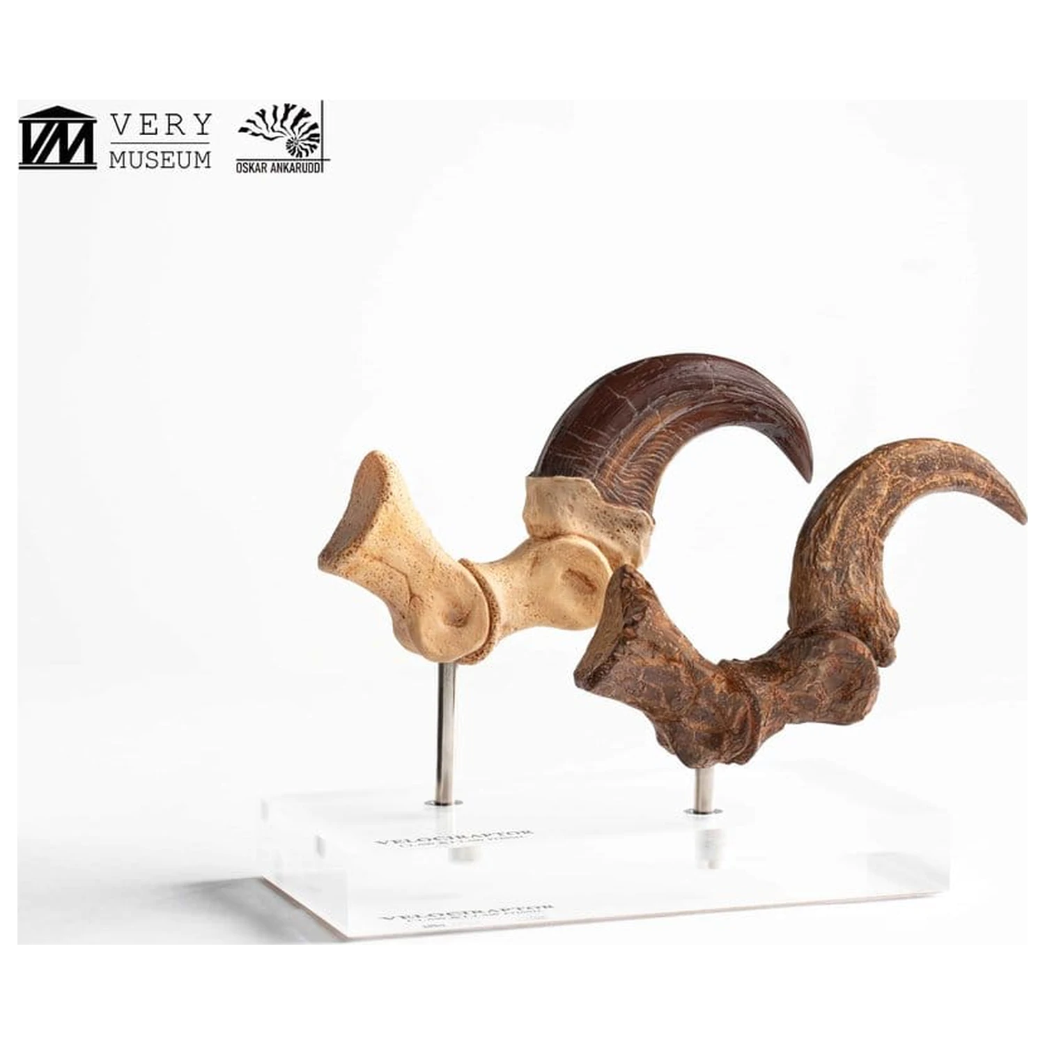 Jurassic Park ECC Elite Creature Line socha Velociraptor noha pazúr a fosílny pazúr set 20 cm produktová fotografia