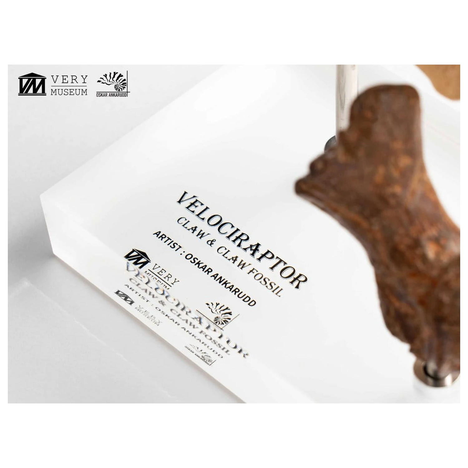 Jurassic Park ECC Elite Creature Line socha Velociraptor noha pazúr a fosílny pazúr set 20 cm produktová fotografia
