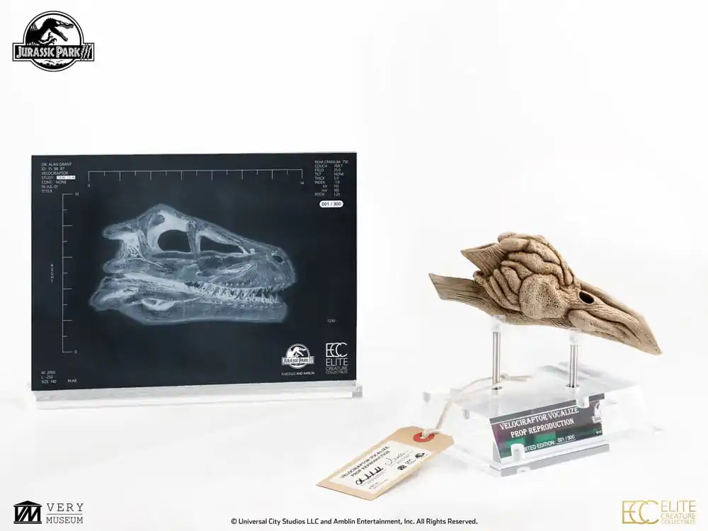 Jurassic Park III Prop Replica 1/1 Velociraptor rezonančná komora 18 cm produktová fotografia