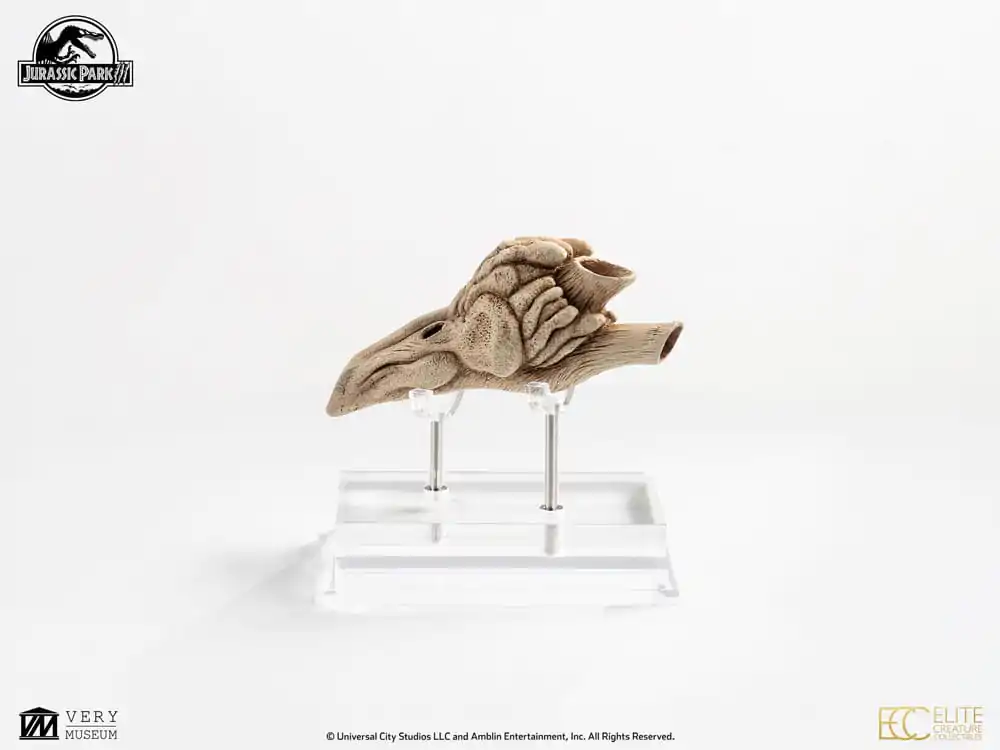 Jurassic Park III Prop Replica 1/1 Velociraptor rezonančná komora 18 cm produktová fotografia