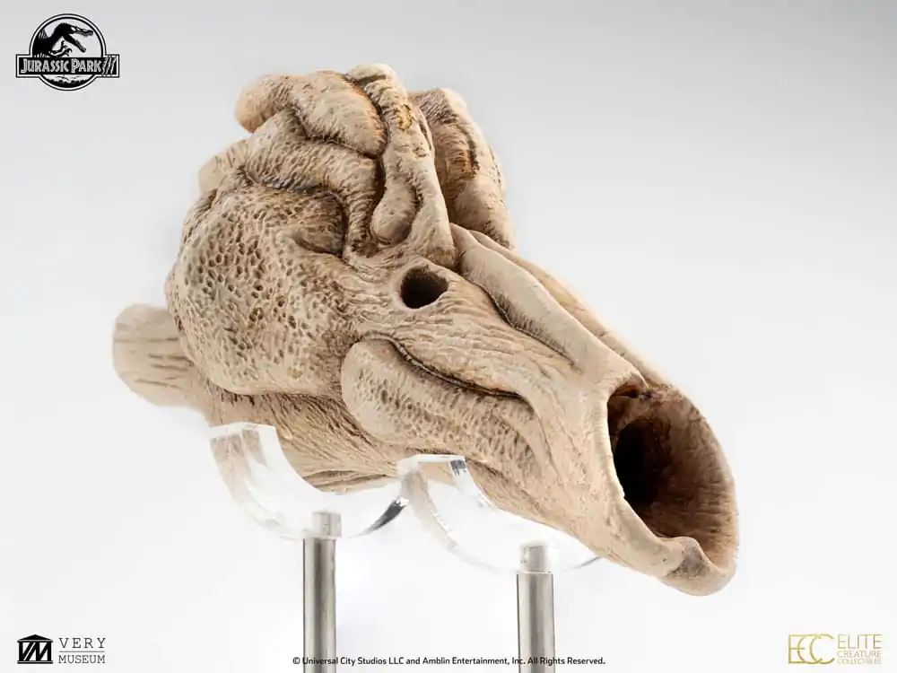 Jurassic Park III Prop Replica 1/1 Velociraptor rezonančná komora 18 cm produktová fotografia