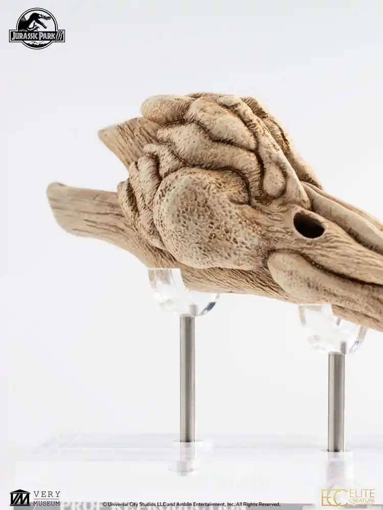 Jurassic Park III Prop Replica 1/1 Velociraptor rezonančná komora 18 cm produktová fotografia