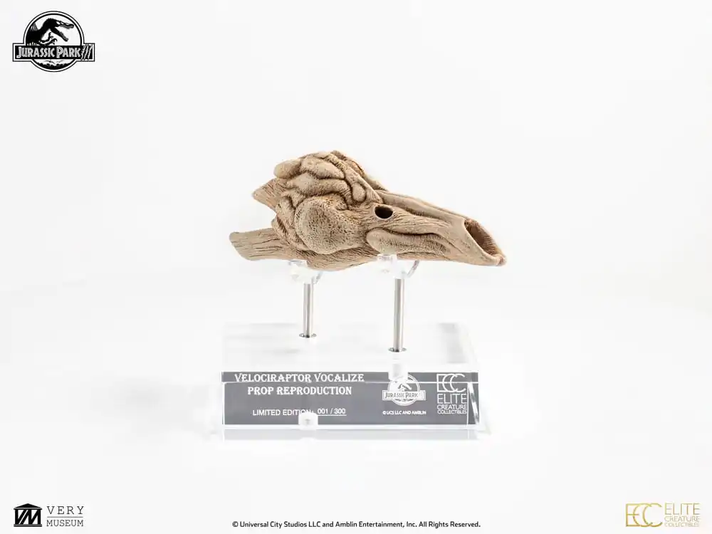 Jurassic Park III Prop Replica 1/1 Velociraptor rezonančná komora 18 cm produktová fotografia