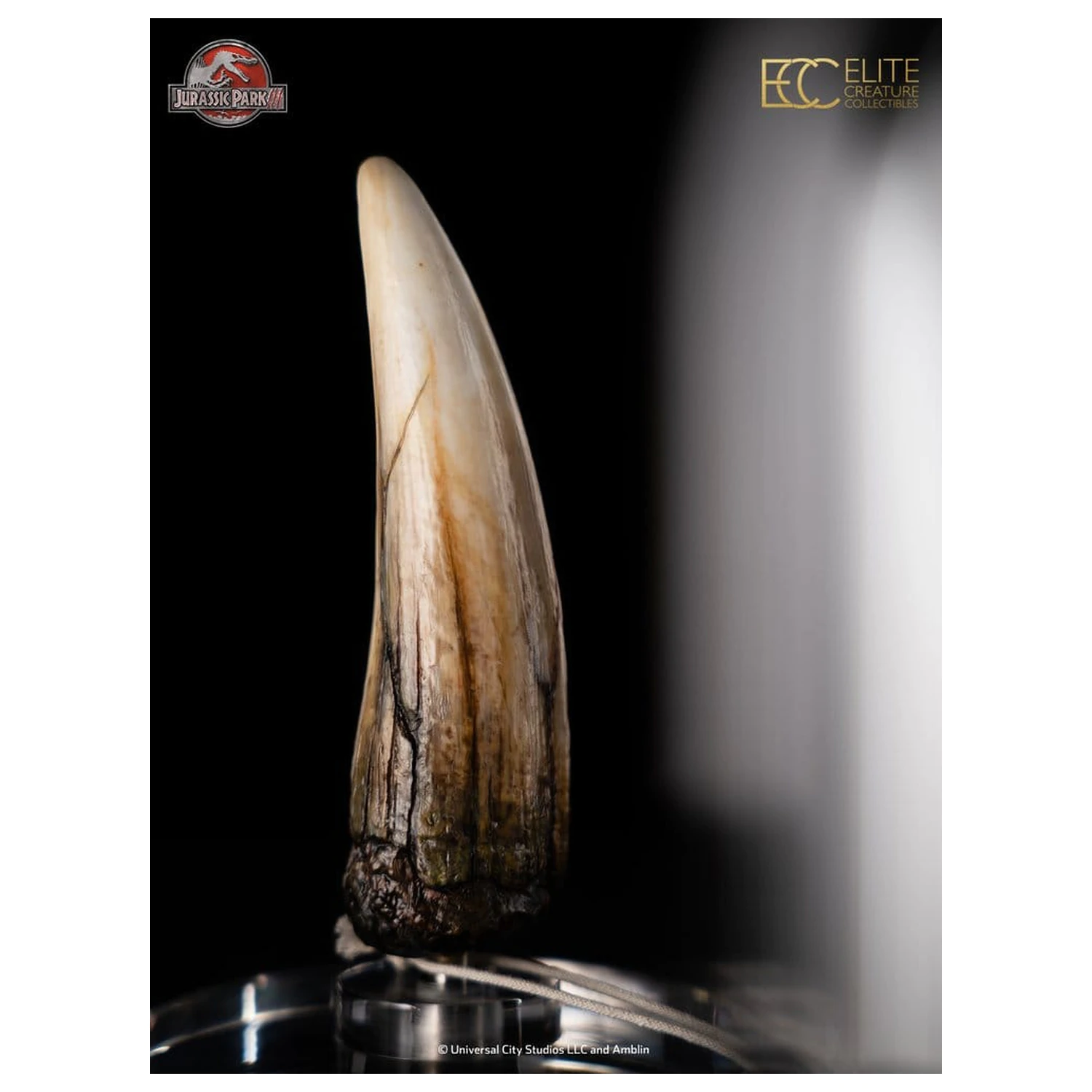 Jurassic Park III replika rekvizity 1/1 zub Spinosaurus 14 cm produktová fotografia