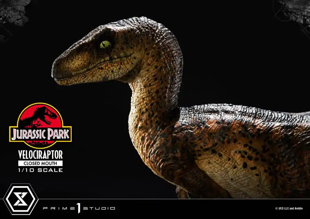 Jurassic Park Prime Collectibles Statue 1/10 Velociraptor Closed Mouth 19 cm termékfotó