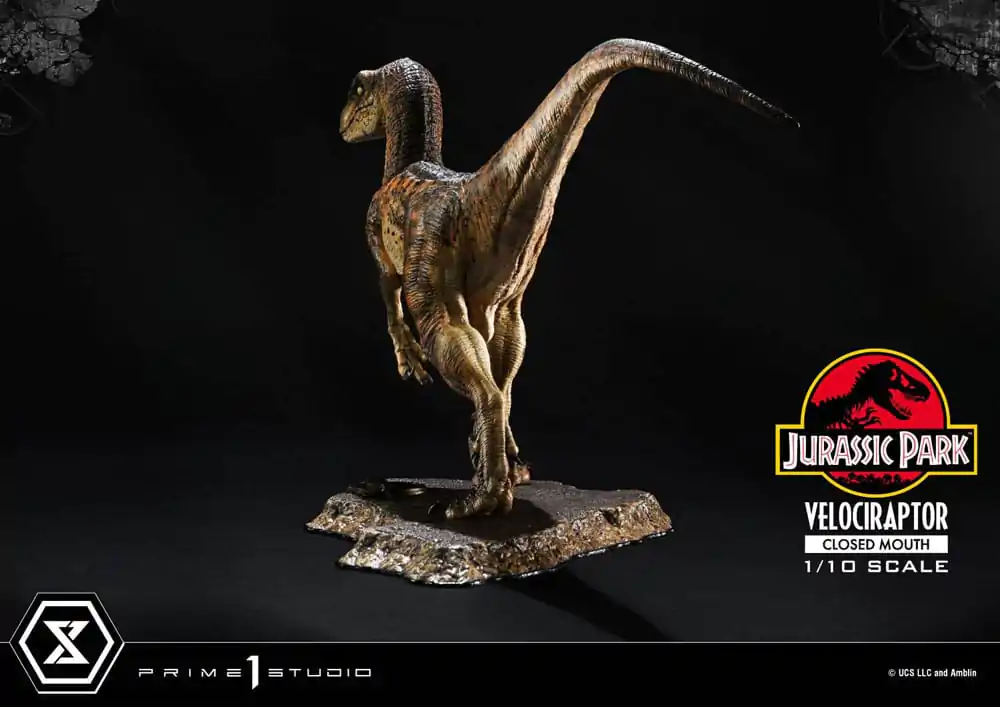 Jurassic Park Prime Collectibles Statue 1/10 Velociraptor Closed Mouth 19 cm termékfotó