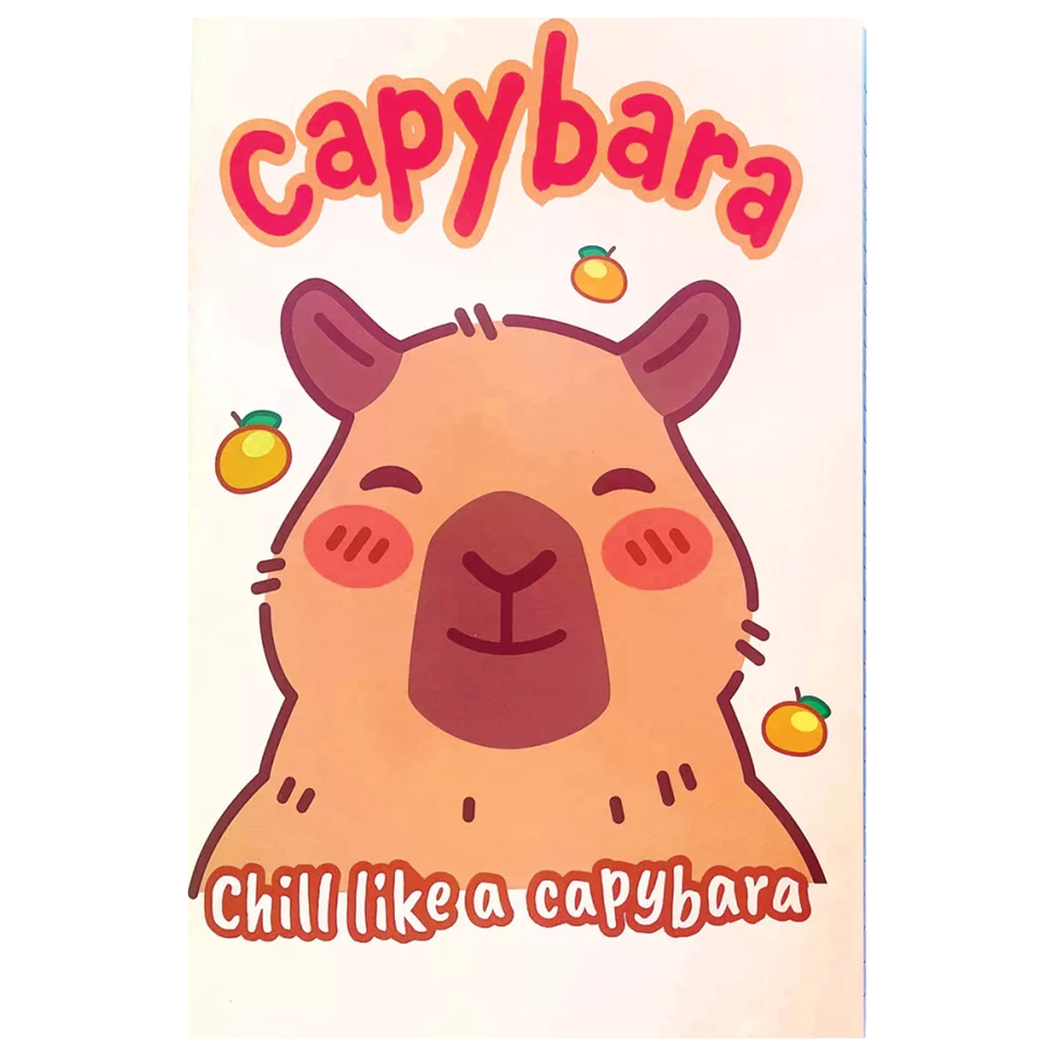 Capybara Chill B/5 linkovaný zápisník, 40 strán produktová fotografia