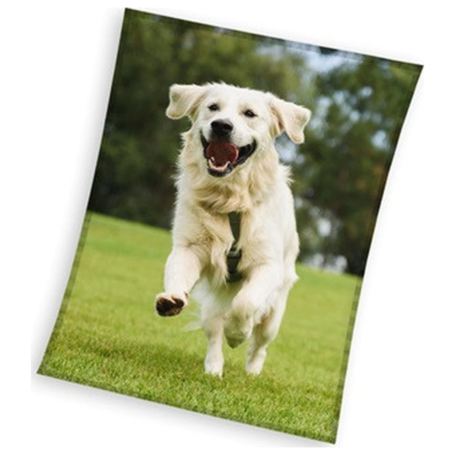 Pes Happy Tail Retriever flísová deka 150x200cm produktová fotografia