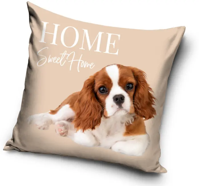 Obliečka na vankúš s potlačou psa 40*40 cm produktová fotografia