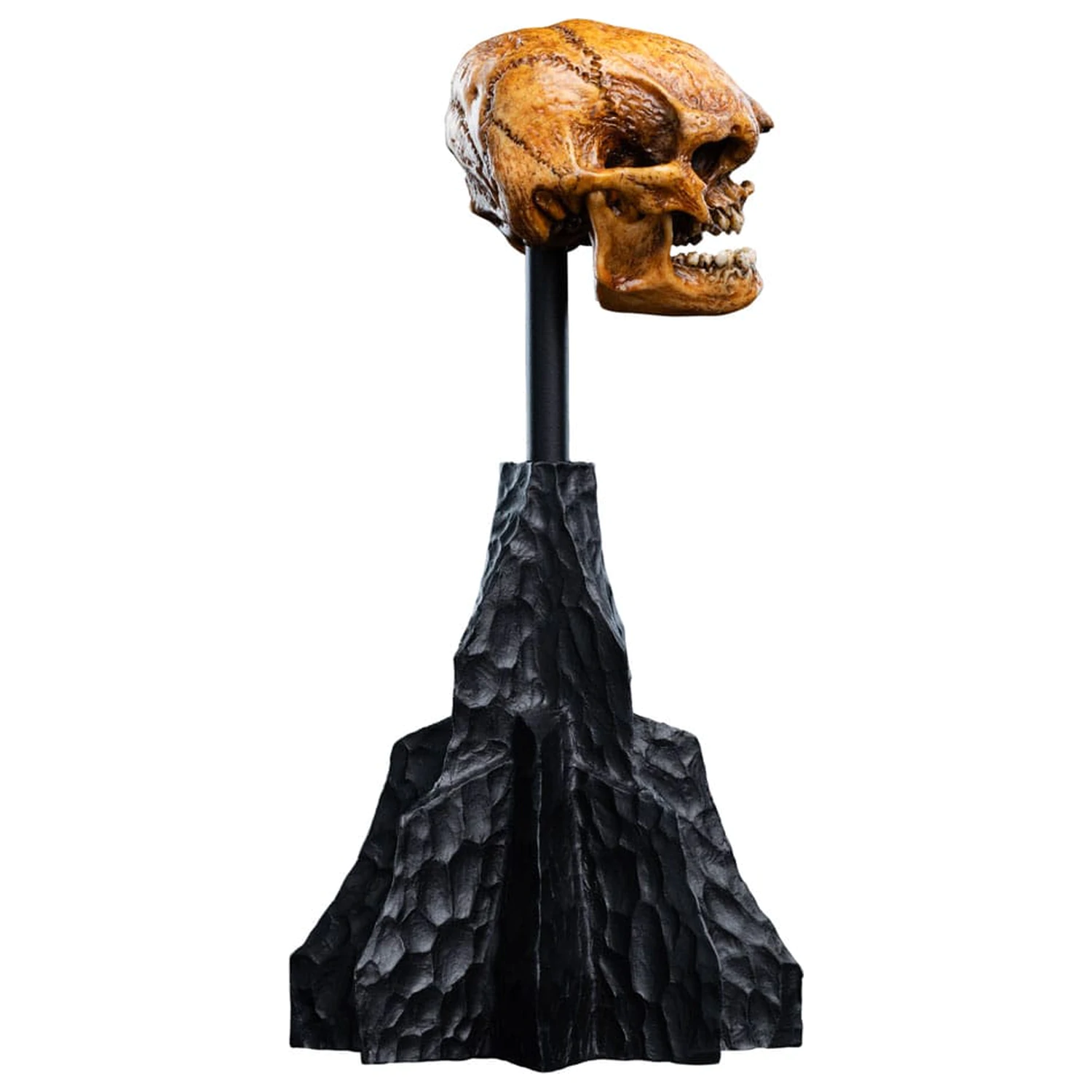 Lord of the Rings Mini Socha Lebka goblina z Misty Mountain 14 cm produktová fotografia